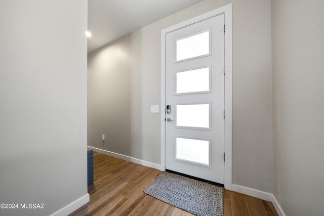 interior space featuring a wealth of natural light and wood-type flooring