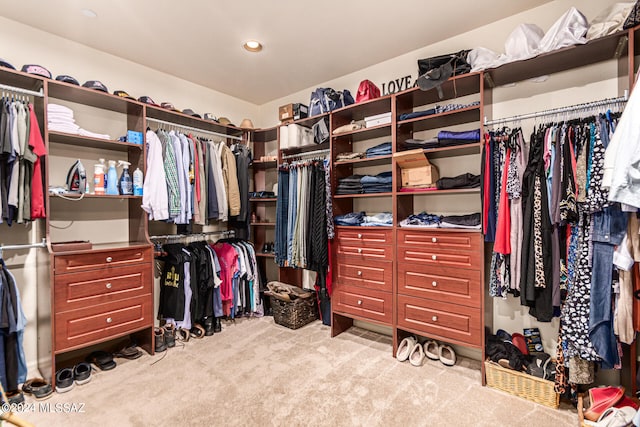 spacious closet featuring light colored carpet