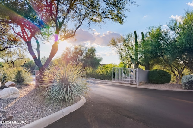 view of street with a gate, curbs, and a gated entry