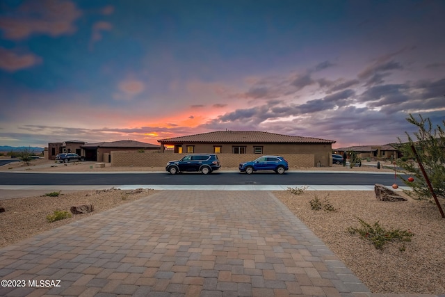 view of yard featuring decorative driveway