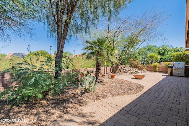 view of patio / terrace with a grill