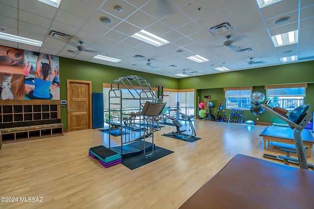 workout area featuring hardwood / wood-style flooring, a healthy amount of sunlight, ceiling fan, and a drop ceiling