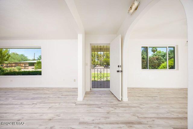 doorway featuring light wood-type flooring and plenty of natural light