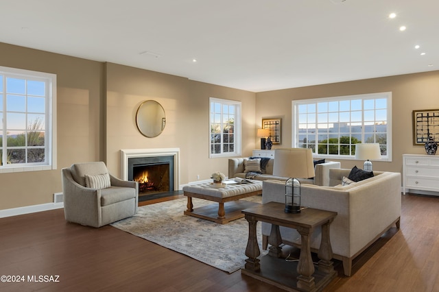 living room with dark hardwood / wood-style flooring