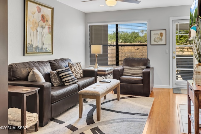 living room with ceiling fan and light wood-type flooring