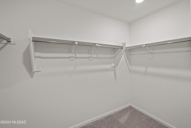 walk in closet with carpet flooring