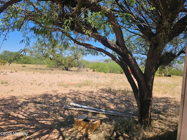 view of local wilderness with a rural view