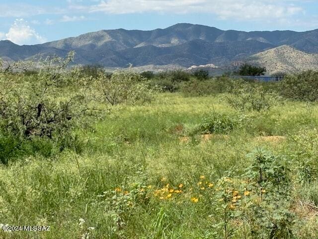 Listing photo 3 for TBD SW Knox St Unit 13-16, Pearce AZ 85625