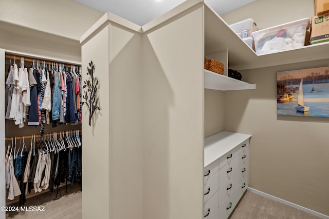 spacious closet featuring light carpet