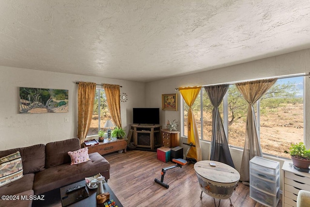 living room featuring hardwood / wood-style floors