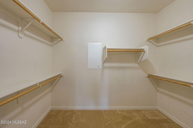 spacious closet with light carpet