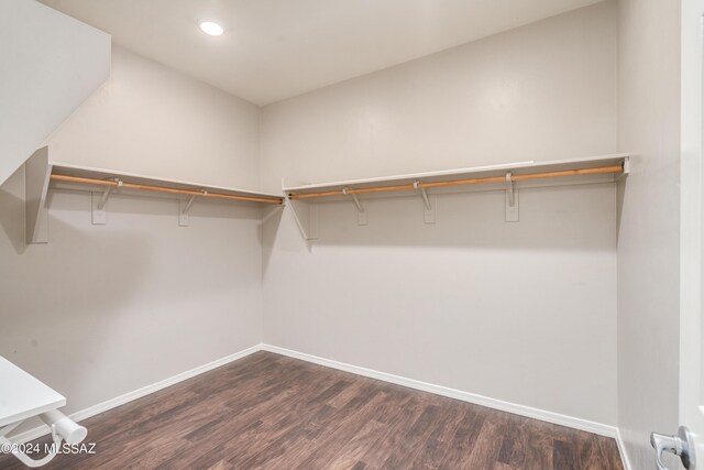 spacious closet featuring dark hardwood / wood-style floors