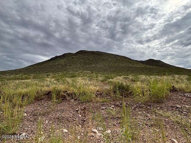 Listing photo 3 for TBD E Indian Ridge Rd Unit 0, Pearce AZ 85625