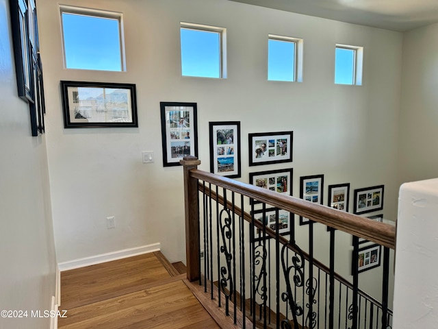 hallway with hardwood / wood-style flooring and a wealth of natural light