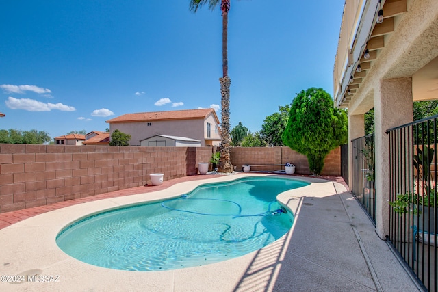 view of swimming pool with a patio area