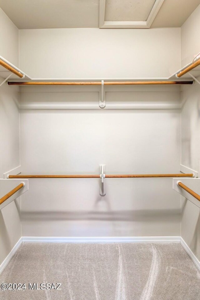 walk in closet featuring carpet