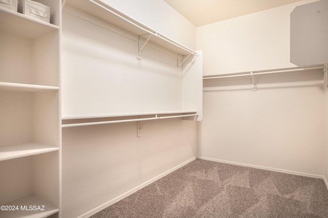 walk in closet featuring carpet flooring