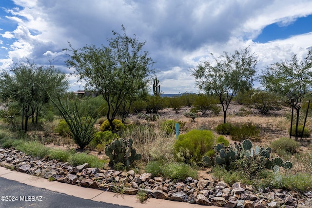 111 N Gunflint Pl Unit 189, Sahuarita AZ, 85629 land for sale