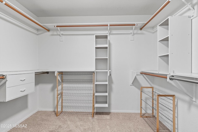 spacious closet with light colored carpet