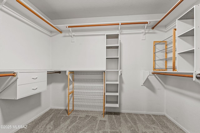 9797 E Holden Pl, Tucson, AZ 85748 - walk in closet featuring carpet floors