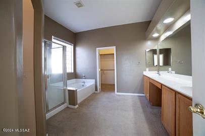 bathroom with vanity and separate shower and tub