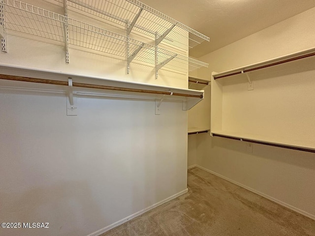 walk in closet with carpet floors