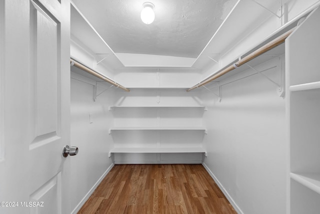 walk in closet with wood-type flooring