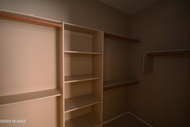 view of walk in closet