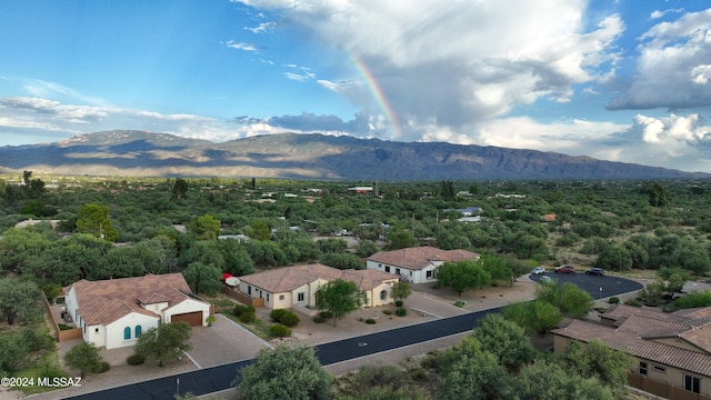 birds eye view of property featuring a mountain view