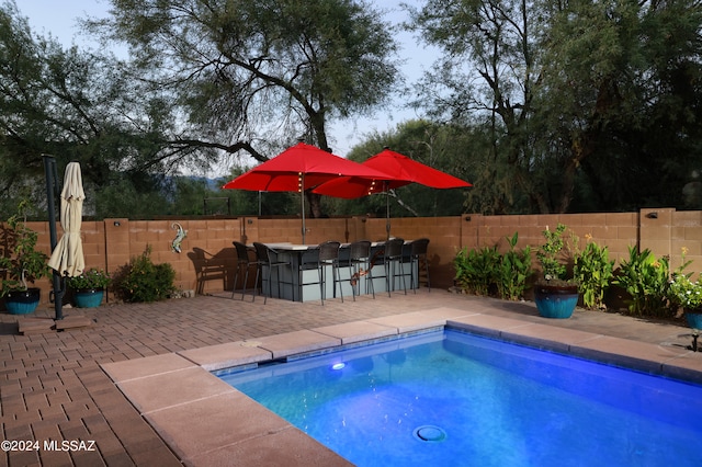 view of pool featuring a fenced backyard, outdoor dry bar, and a patio