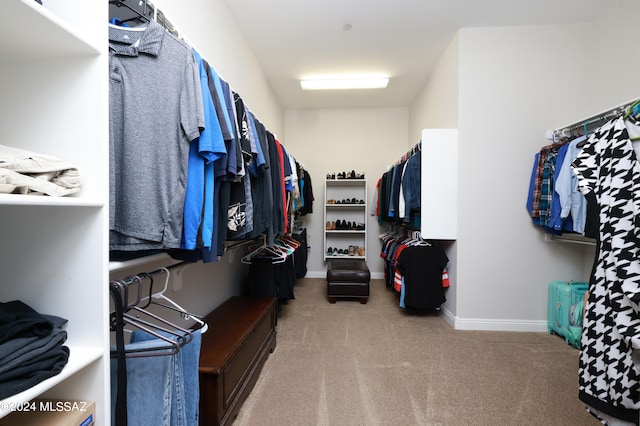 spacious closet with carpet