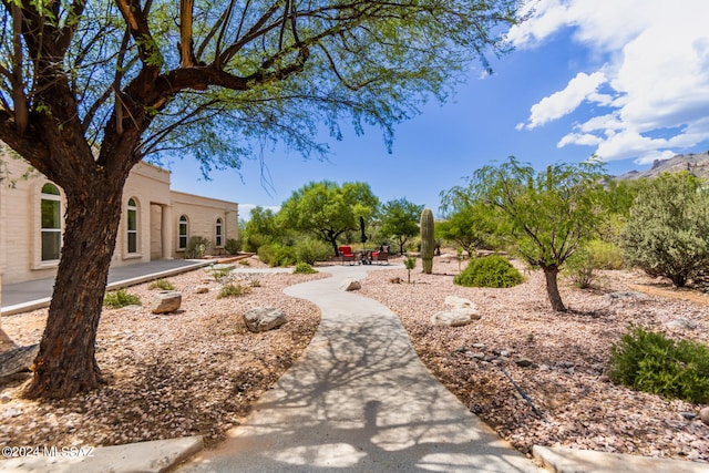 view of yard featuring a patio