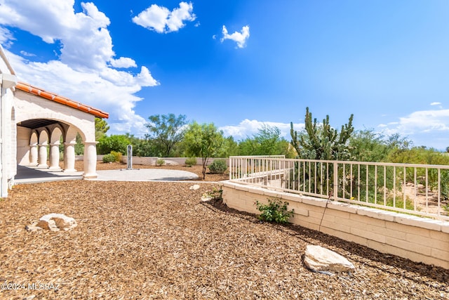 view of yard featuring a patio area