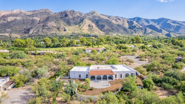 birds eye view of property featuring a mountain view