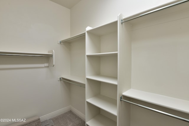 spacious closet featuring carpet flooring