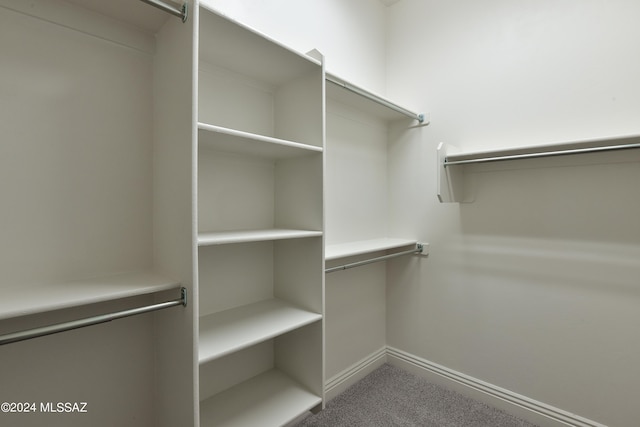 spacious closet featuring carpet floors