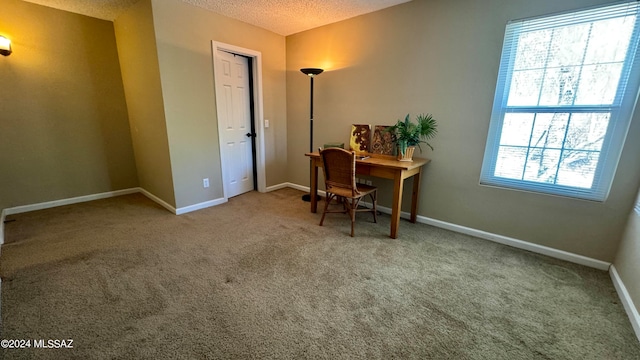 office with a textured ceiling, a healthy amount of sunlight, and carpet flooring