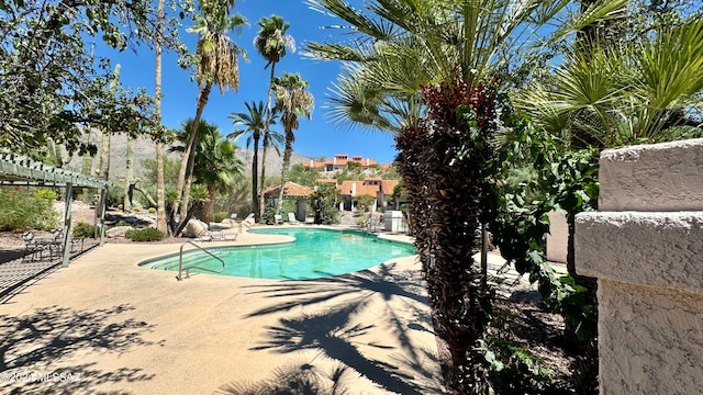 view of pool with a patio area