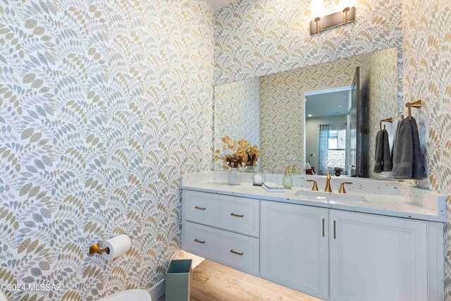 bathroom featuring vanity and wood-type flooring