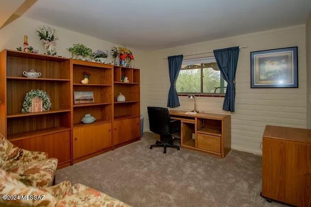 view of carpeted office