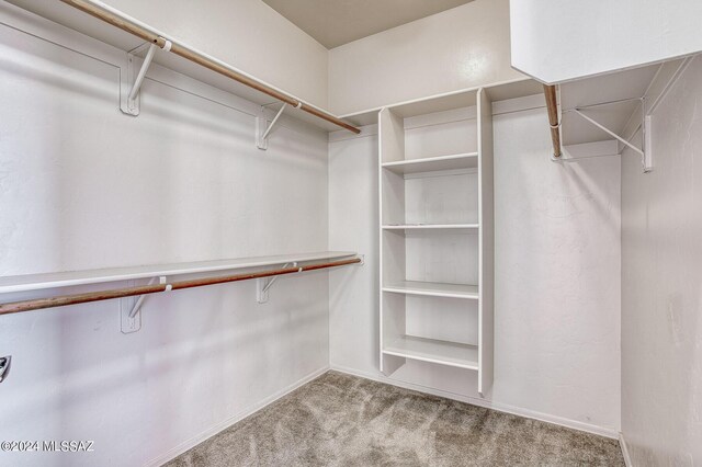 spacious closet featuring light carpet