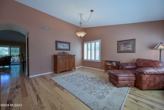 living room featuring light hardwood / wood-style floors, a wealth of natural light, and lofted ceiling