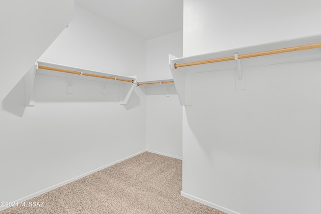 walk in closet featuring light carpet