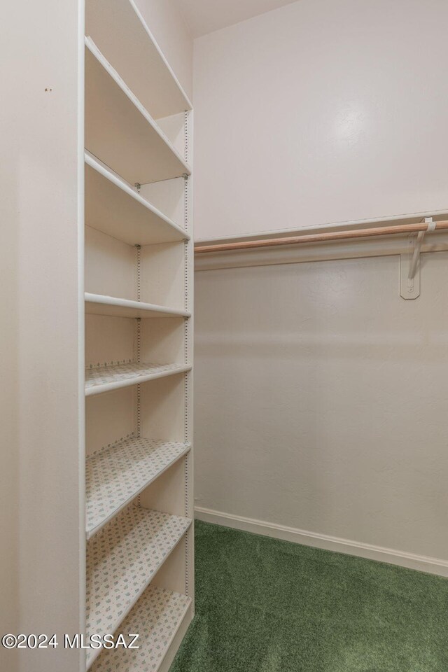 spacious closet featuring carpet