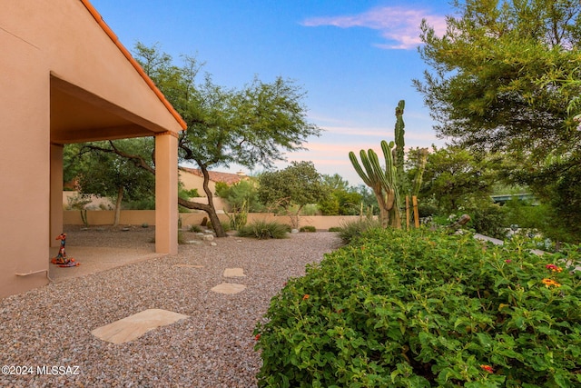 view of yard featuring a patio area