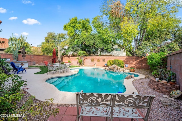 view of pool with a patio