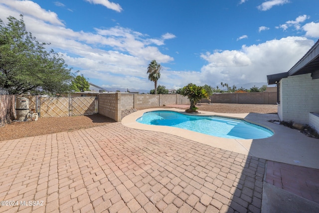 view of swimming pool featuring a patio area