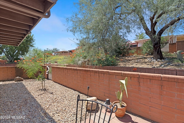 view of yard featuring a patio area