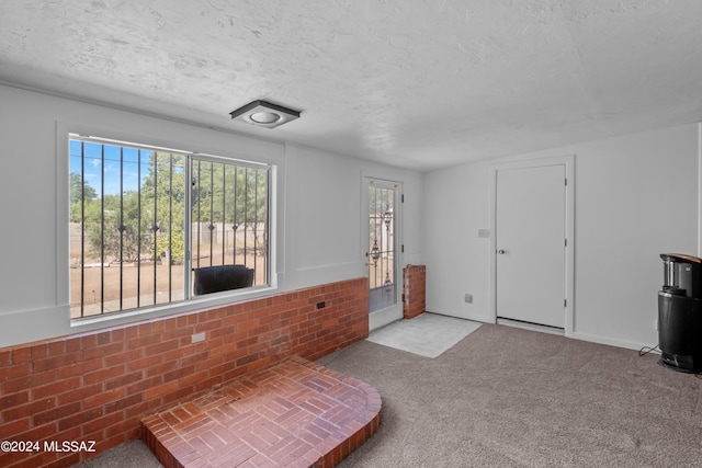 entrance foyer with light colored carpet, plenty of natural light, and a textured ceiling