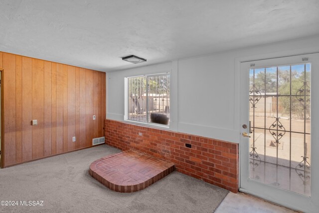 carpeted empty room featuring wood walls and a textured ceiling